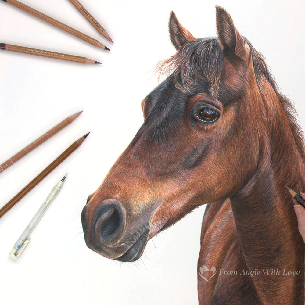 Horse Coloring Images - Free Download on Freepik
